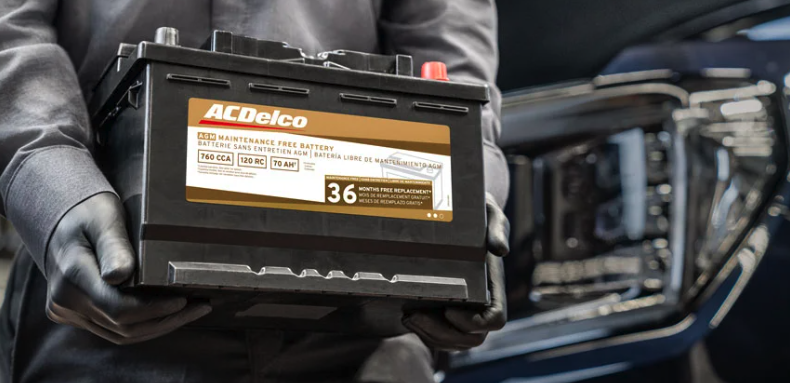 ACDELCO Car Battery