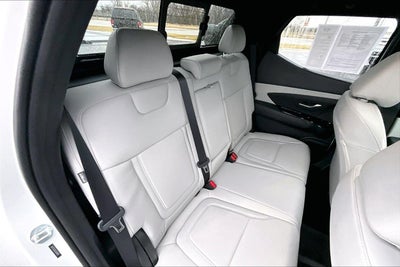 2025 Hyundai Santa Cruz SEL Activity